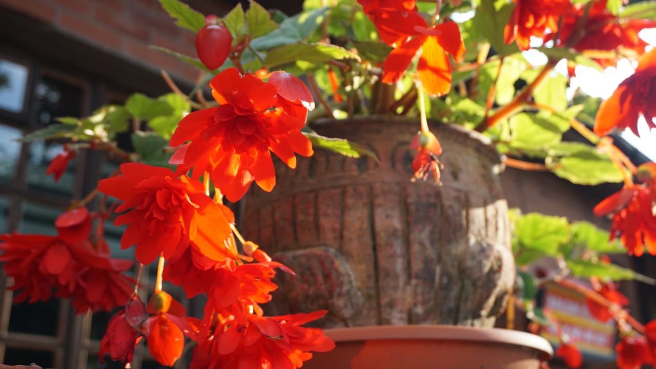 Гостевой дом Pas Birute Каунас-9