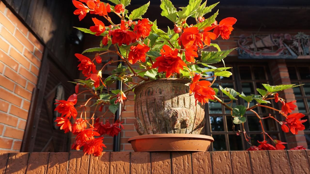 Гостевой дом Pas Birute Каунас-10