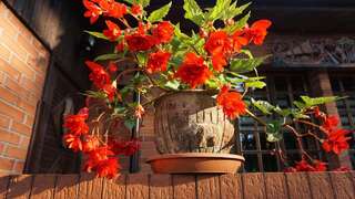 Гостевой дом Pas Birute Каунас-6